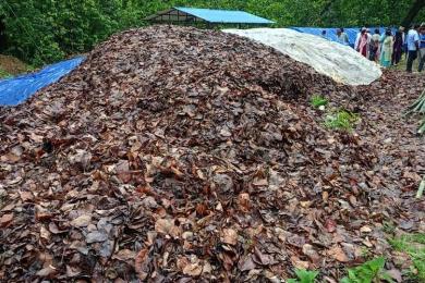 फत्तेपुरमा हरियोपात कुहाएर प्राङ्गारिक मल उत्पादन गरिँदै